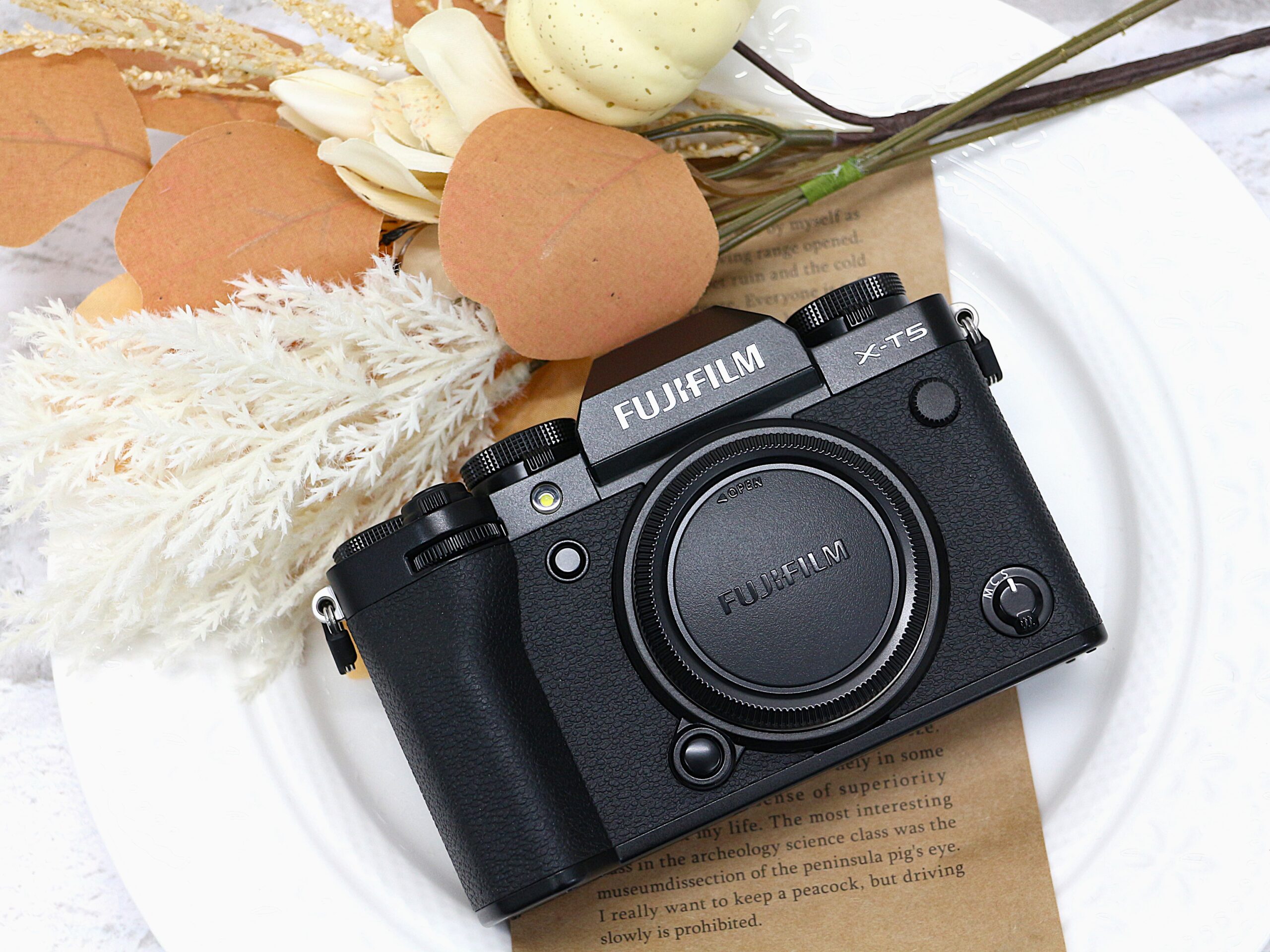 多彩な色表現のあるFUJIFILM「X-T5」