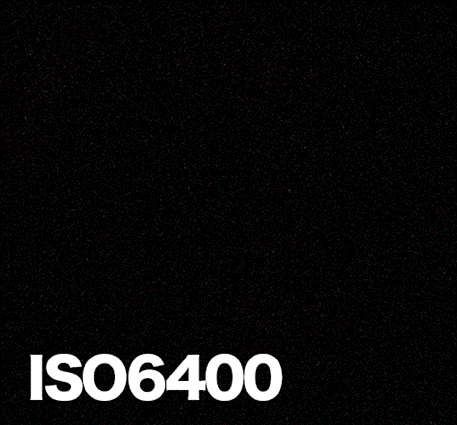 ISO感度6400の解説画像